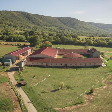 Totvar Lovas Szallashely Kovagotottos Экстерьер фото
