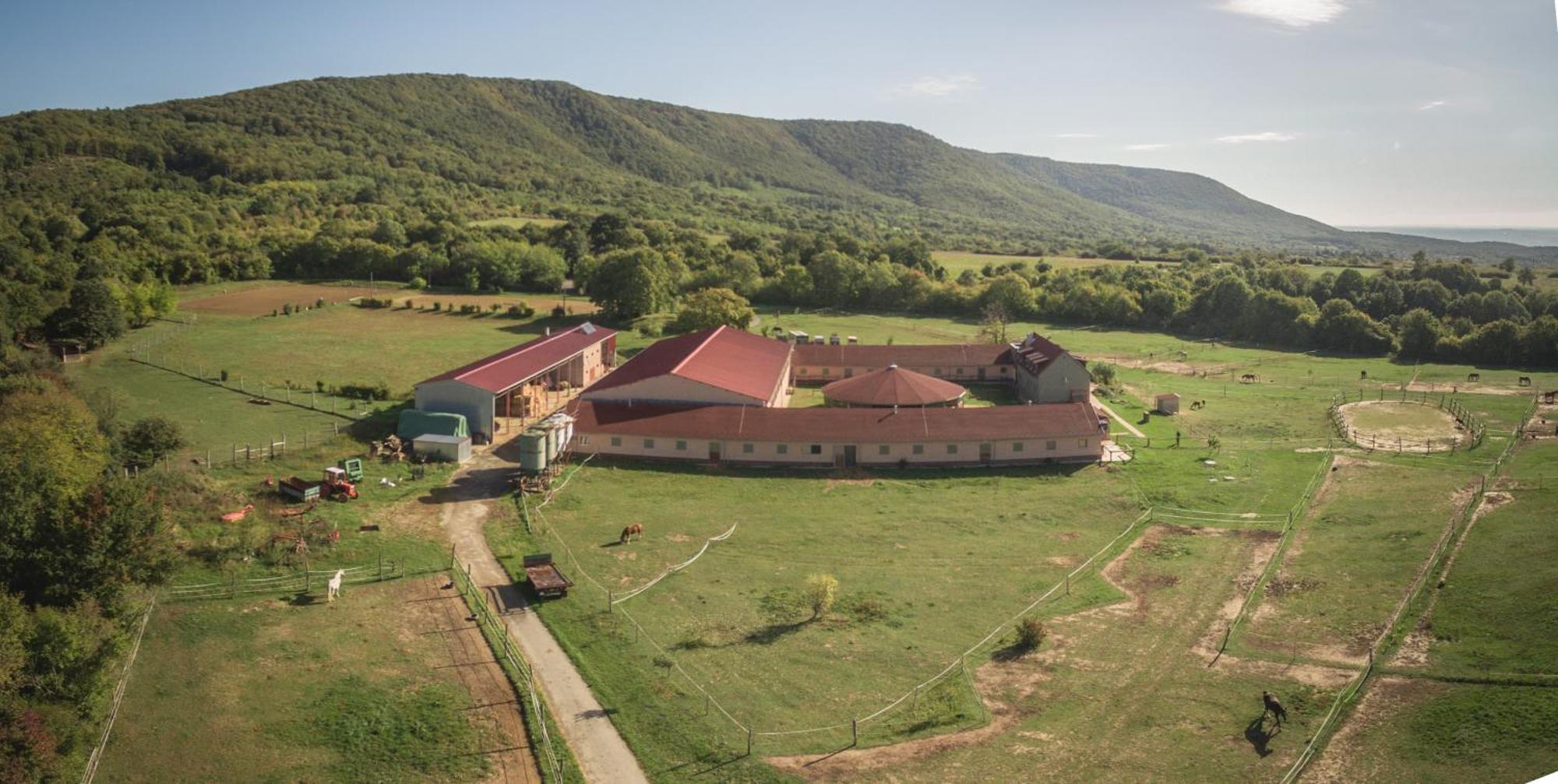 Totvar Lovas Szallashely Kovagotottos Экстерьер фото