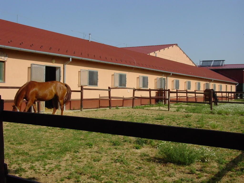 Totvar Lovas Szallashely Kovagotottos Экстерьер фото